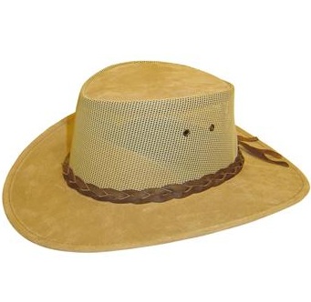summer_harrys_horse_1